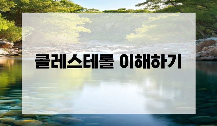 콜레스테롤 이해하기