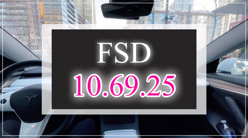 FSD 10.69.25