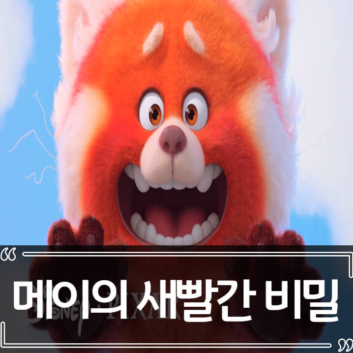  디즈니 애니메이션 메이의 새빨간 비밀 - 후기 줄거리 리뷰