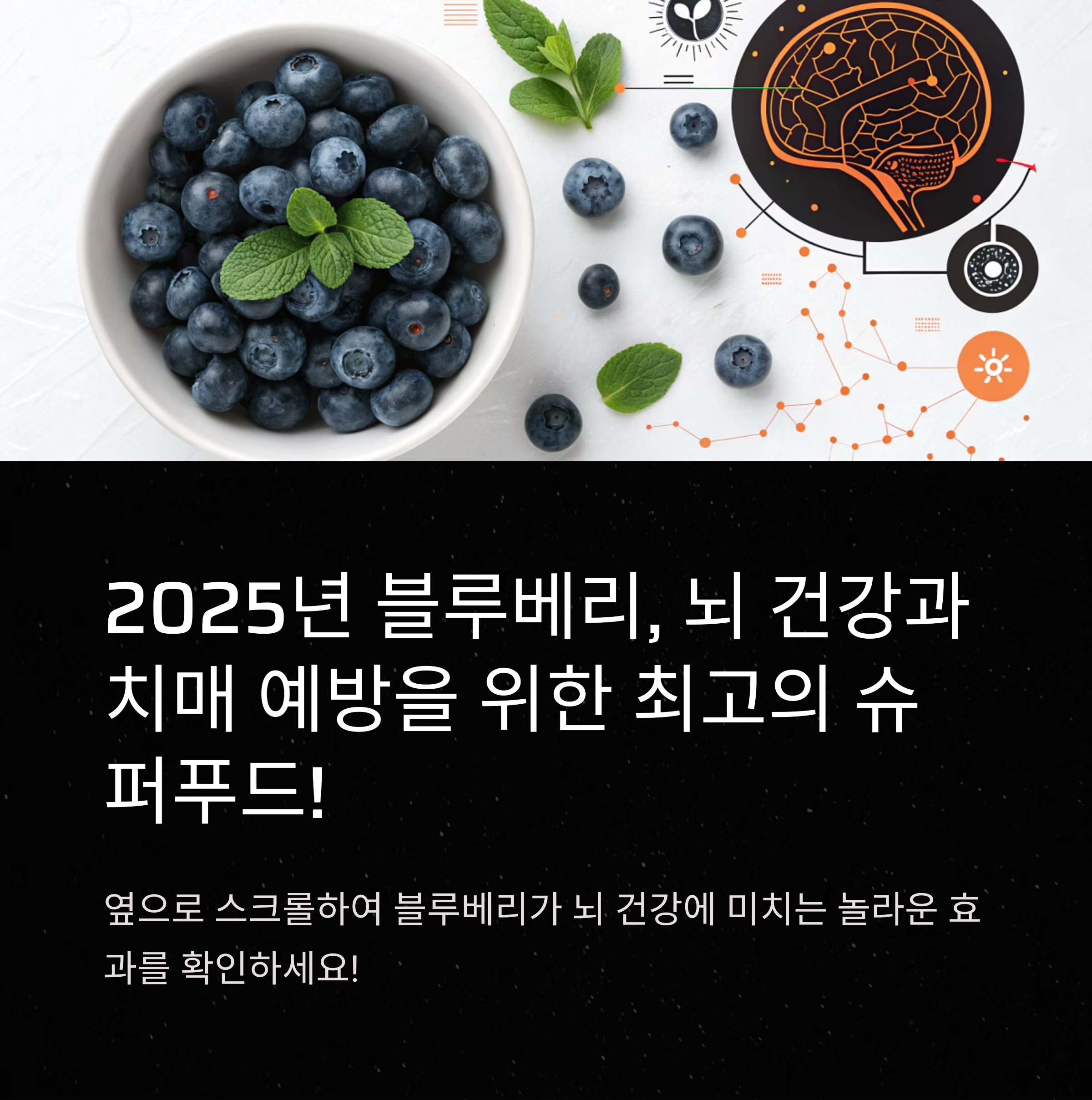 블루베리 슈퍼푸드