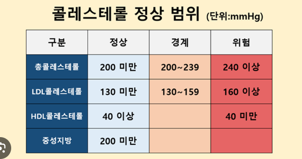 콜레스테롤 수치