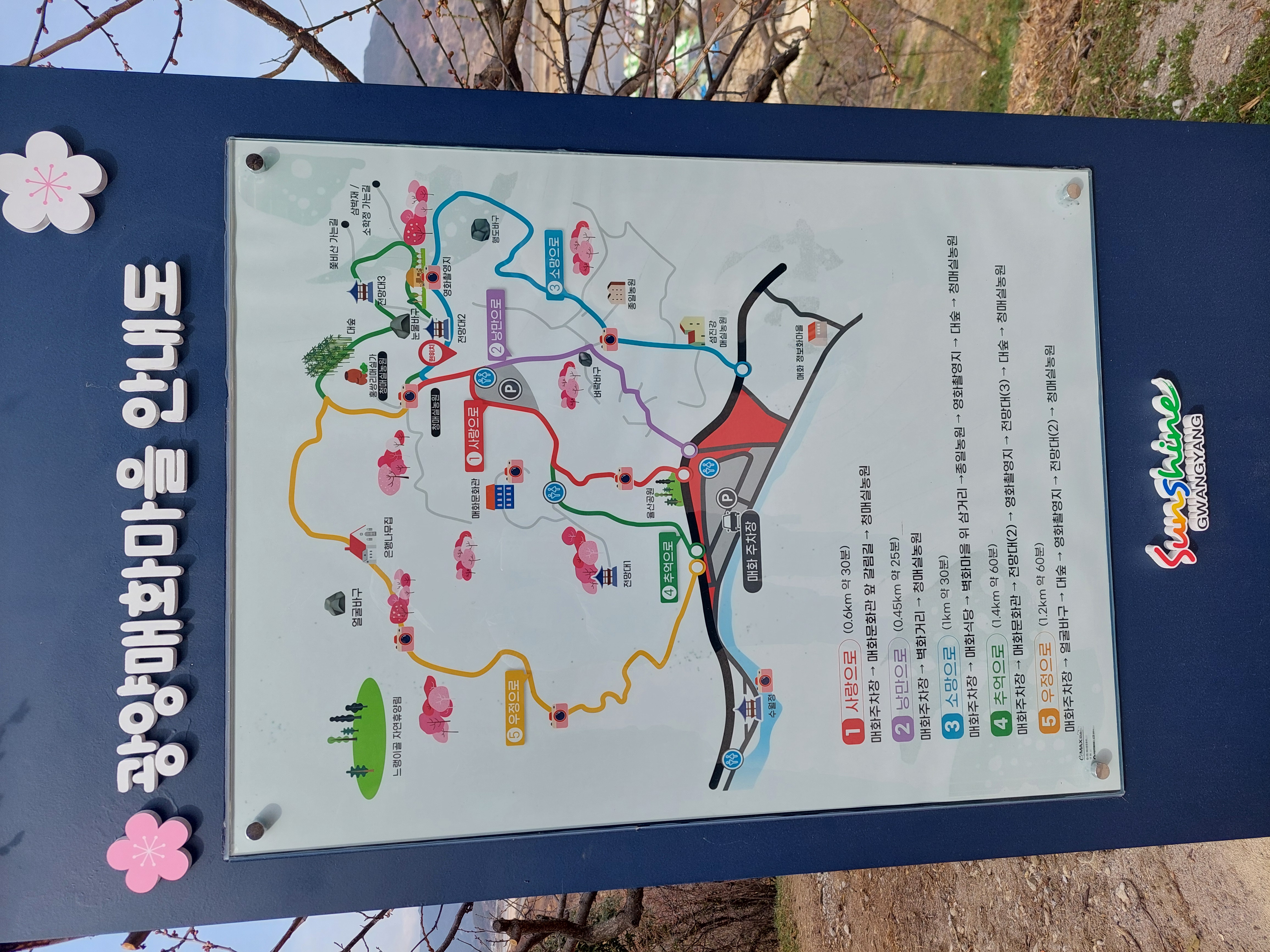 쫓비산