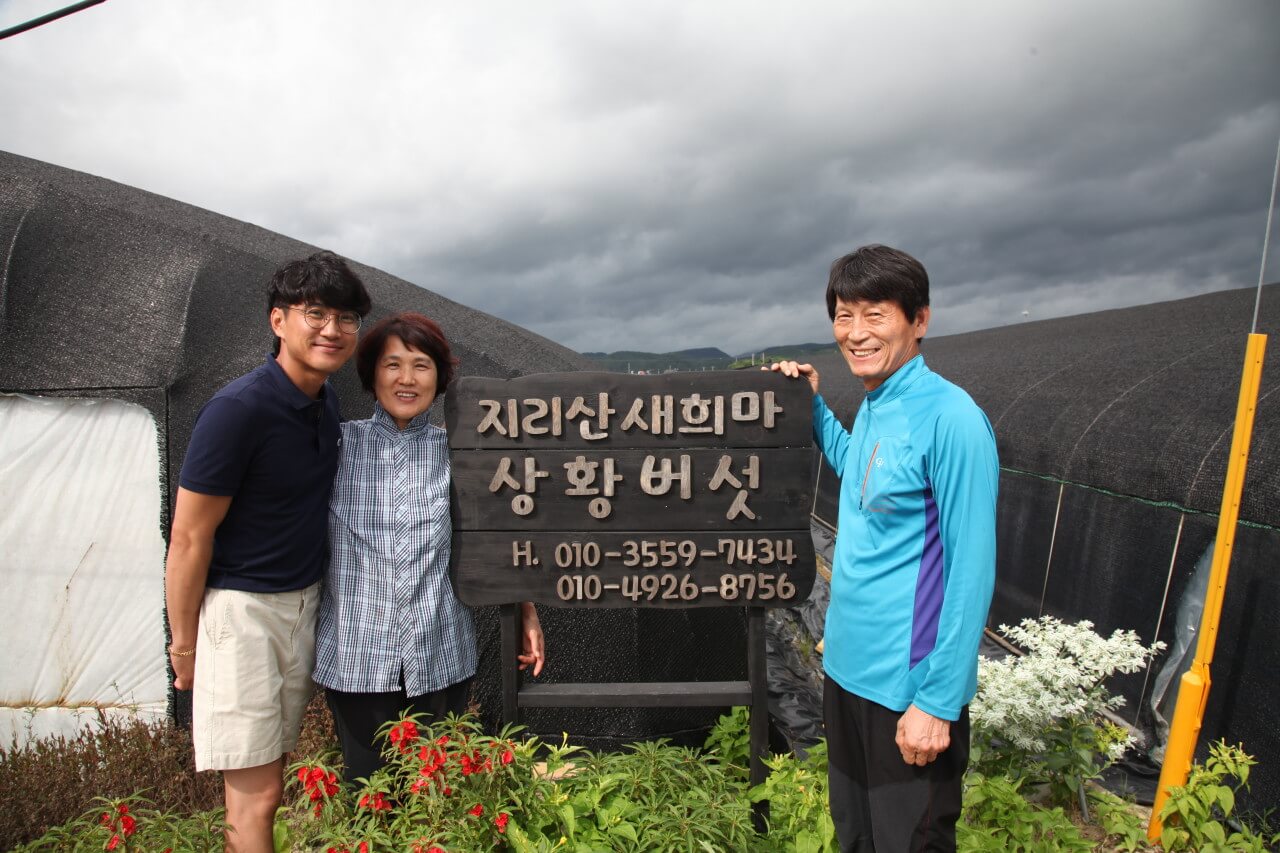 6시내고향 경남 산청 상황버섯 명가 지리산새희망상황버섯 주문방법
