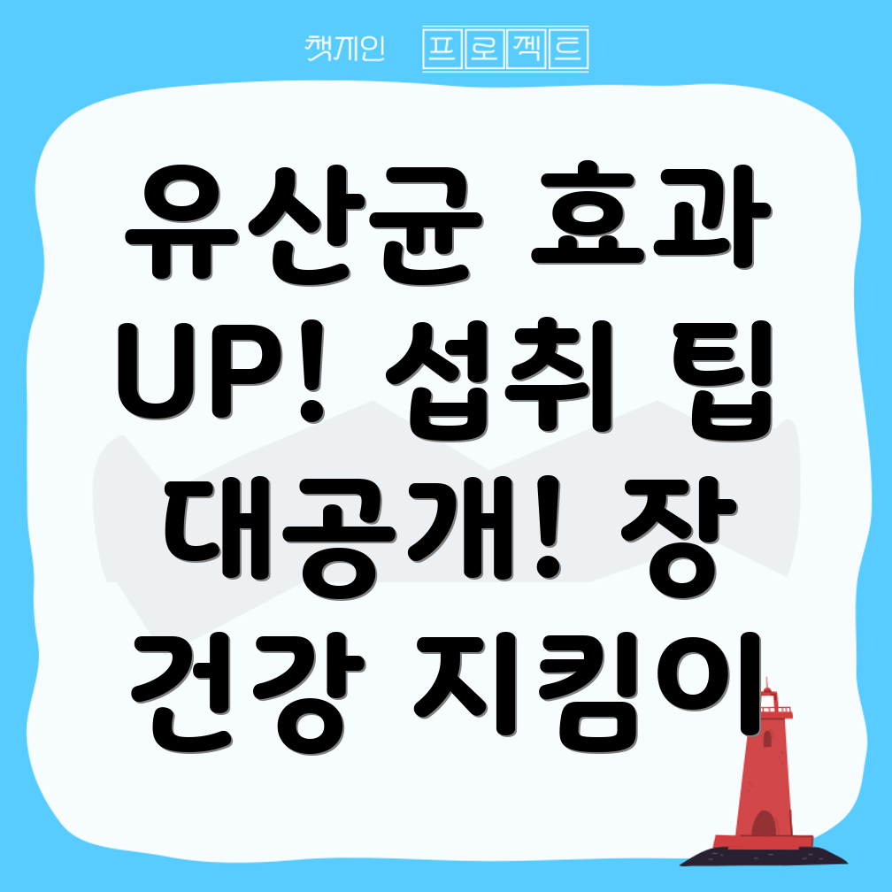 드시모네 유산균 효과