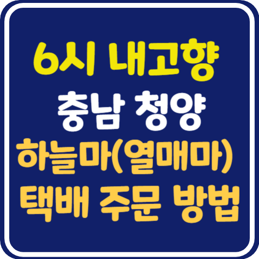 6시 내고향 청양 하늘마 (열매마) 택배 주문 방법