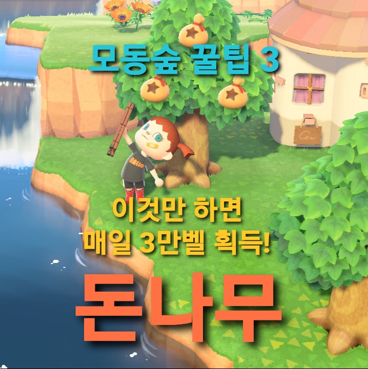 모동숲 공략, 쉬운 돈벌기 방법들(모동숲 돈나무,동물의 숲 돈나무)