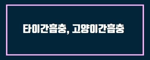  타이간흡충, 고양이간흡충 And 알로에버C플러스
