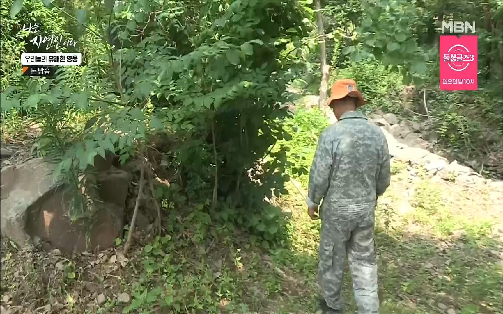 나는 자연인이다.E508.220629p.H264-F1RST.mp4_20220630_203353.292.jpg