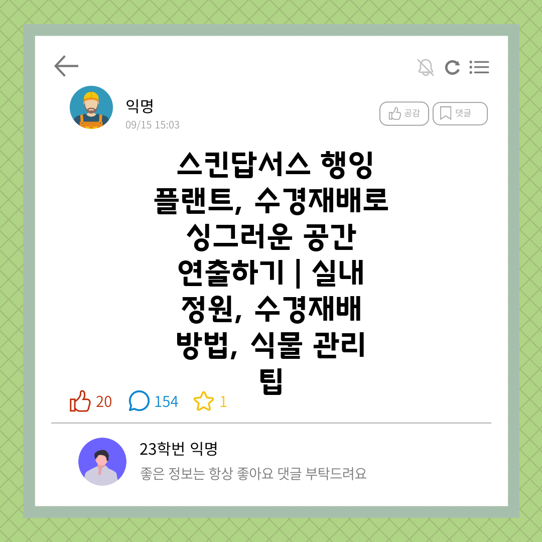  스킨답서스 행잉 플랜트, 수경재배로 싱그러운 공간 연