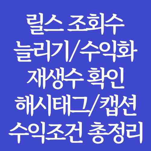 글-제목-릴스-조회수-늘리는-방법-수익화-조건-해시태그-캡션-내용을-독자가-이해하기-쉽게-파란색-사각형-도형에-작성한-모습