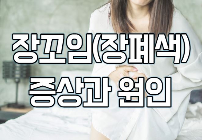  장꼬임(장폐색) 증상과 원인, 치료법은?