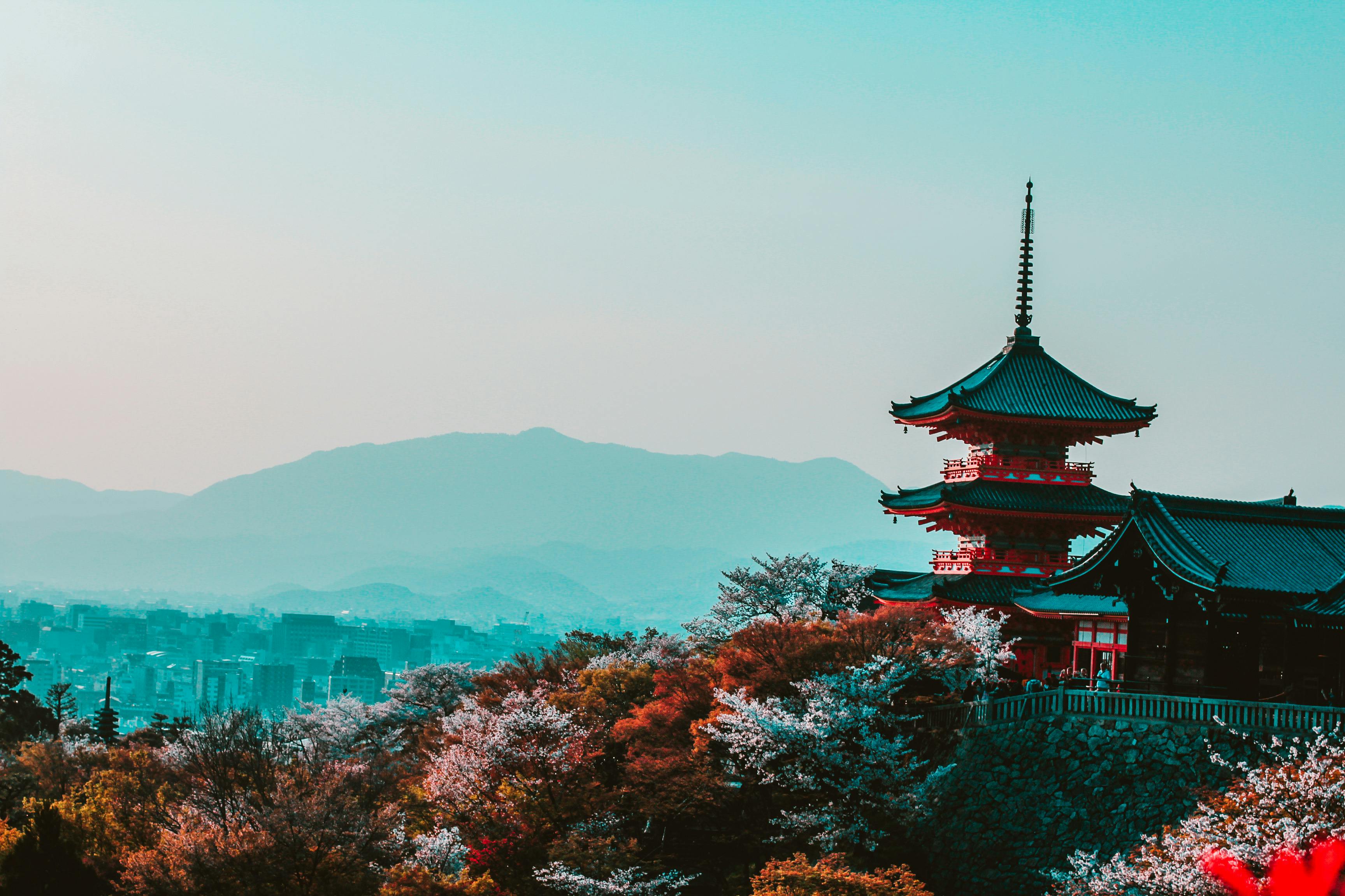 ✅ 1편 - 일본 간사이공항(KIX) 땡처리 항공권 완벽 가이드