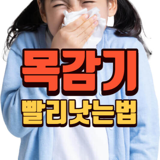  목감기 빨리 낫는 법 10가지(필독)