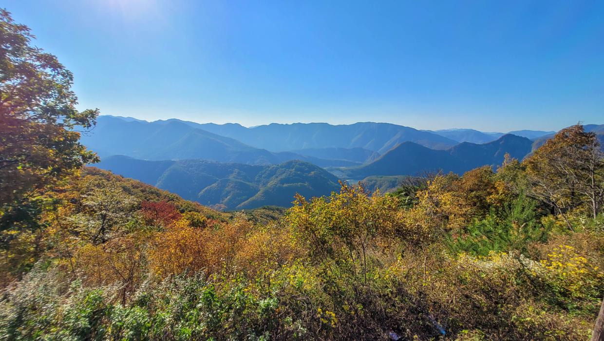 강원도 정선군 여행 추천 - 동강전망자연휴양림