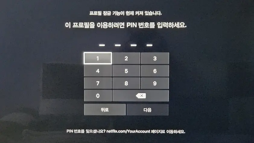 PIN 번호