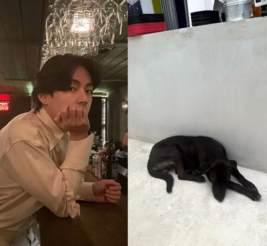  '서진이네' 뷔, 명예직원 '빼로' 입양까지…말없이 선행