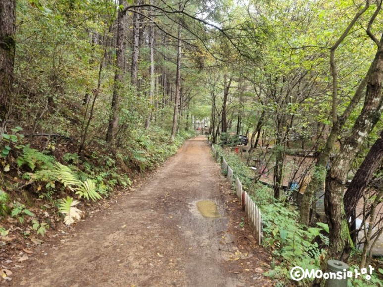 하늘그린캠프, 숲속의 34