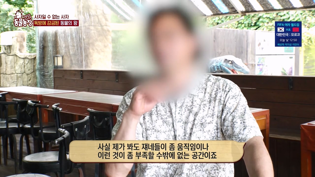 TV 동물농장.E1131.230731p-NEXT.mp4_20230730_190958.418.jpg