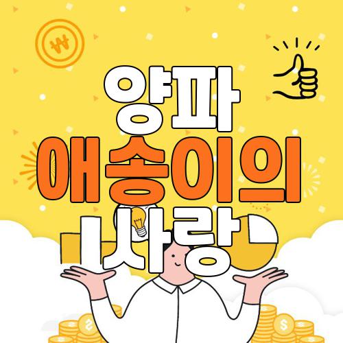 양파 애송이의 사랑