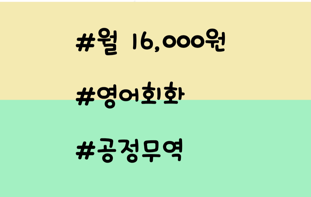 다영이 전화 영어 가격