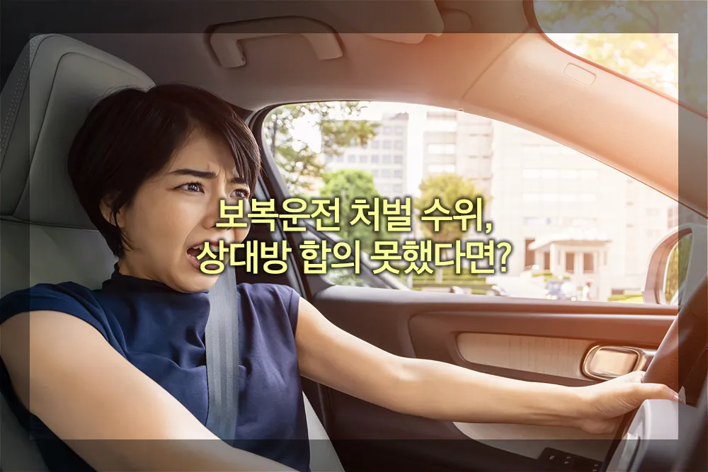 보복운전 처벌 수위