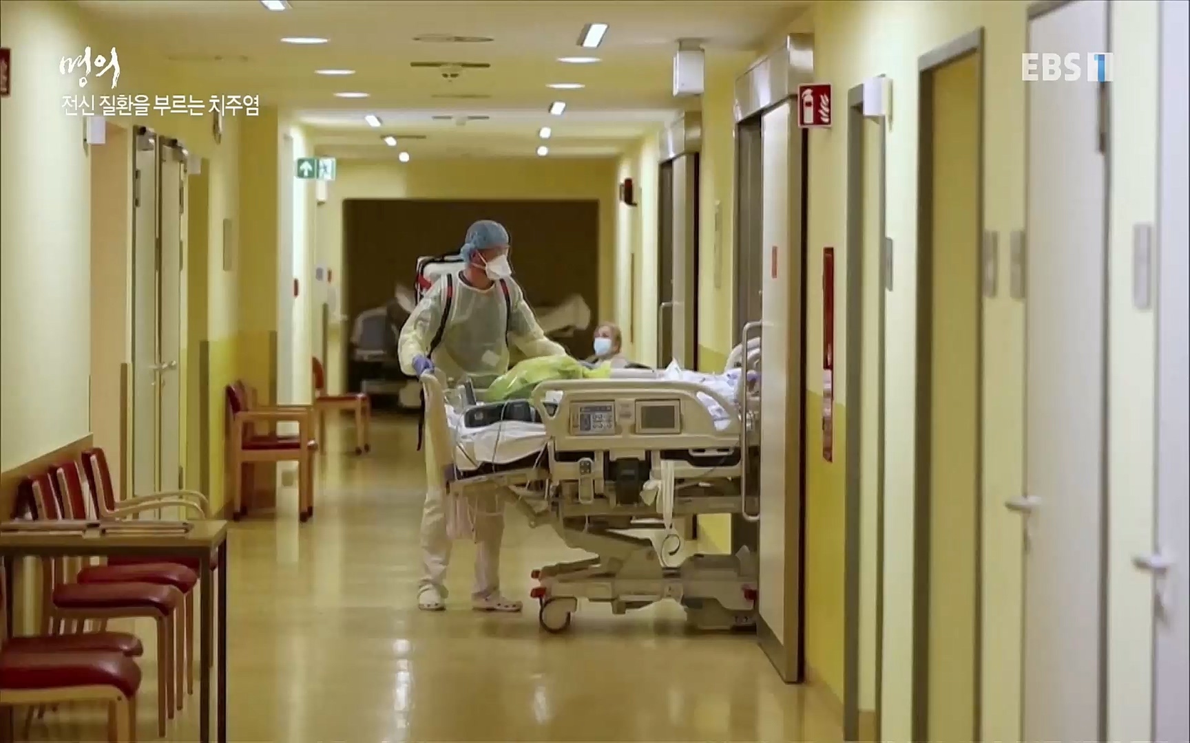 EBS 명의 헬스케어 - TV - 교육의 중심 EBS치주염이 코로나로 소홀해진 구강관리가 치아를 더 망가트리고 위험하게 만들며, 증상이 없기 때문에 특히 더 조심하고 치은염 단계에서 진행되지 않도록 예방해야한다 정의원 교수님과 치_20220505_151717.275.jpg