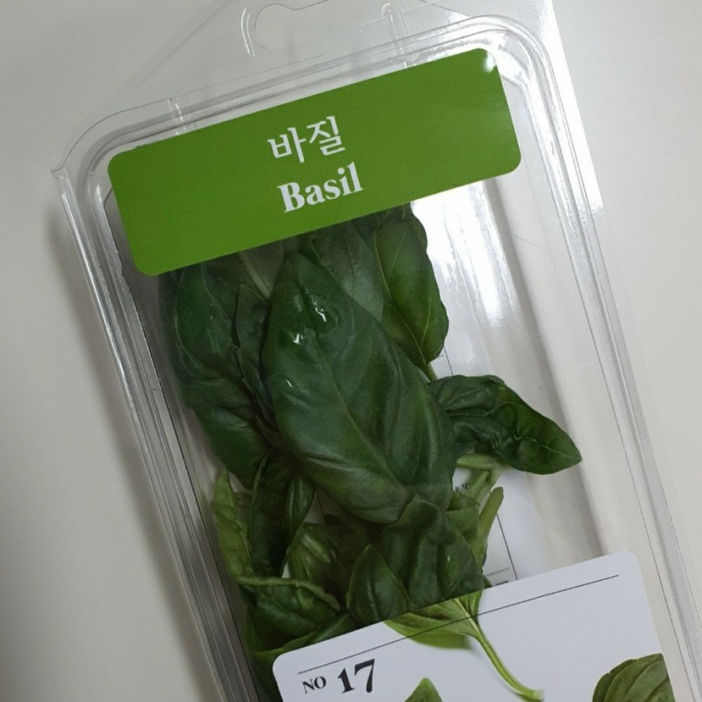 토마토 마리네이드 레시피 :: 오히블랑카 스페인 올리브유로 만드는 간단한 요리 12