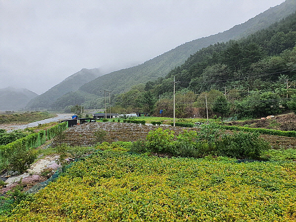 한국 추천 여행지 강원도 삼척시 운탄고도1330 8길