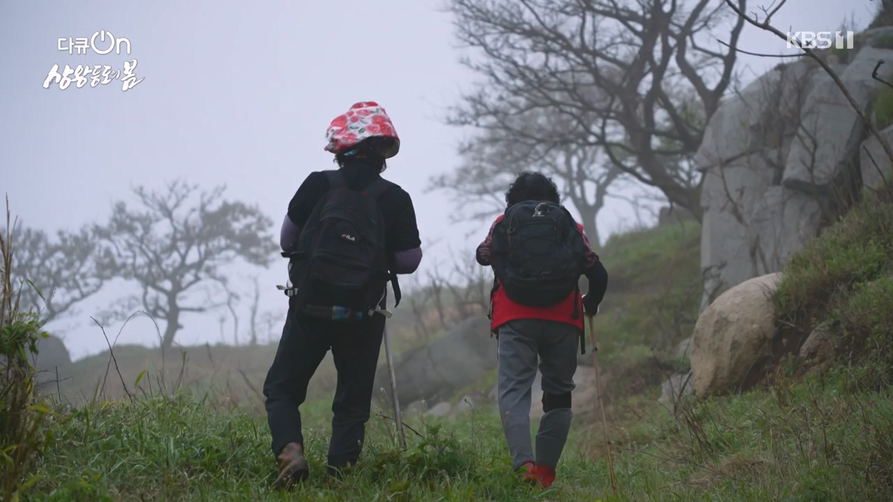 다큐 온.E249.240526p-NEXT.mp4_20240526_152349.113.jpg