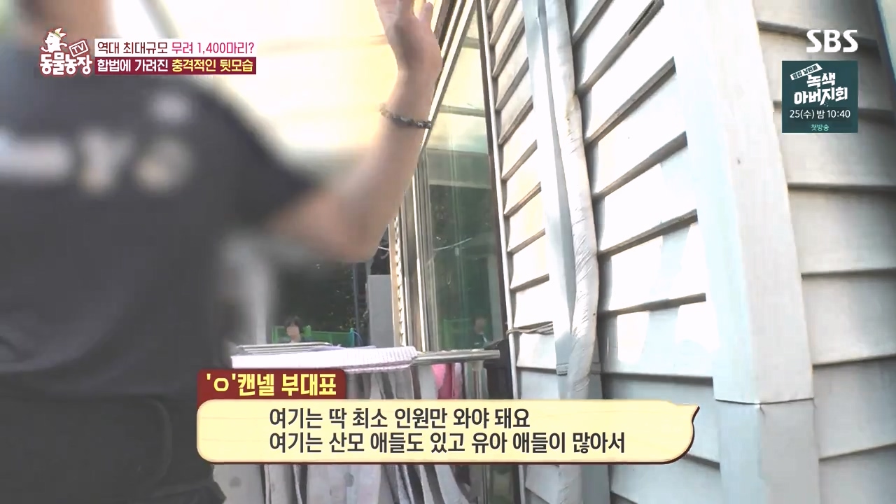 TV 동물농장.E1142.231023p-NEXT.mp4_20231022_172224.963.jpg