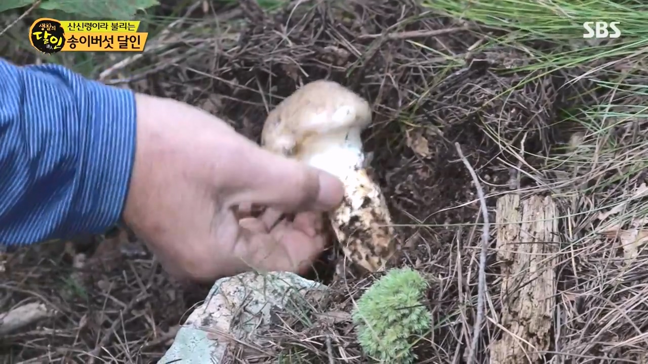 생활의 달인.E907.231010p-NEXT.mp4_20231010_202755.807.jpg