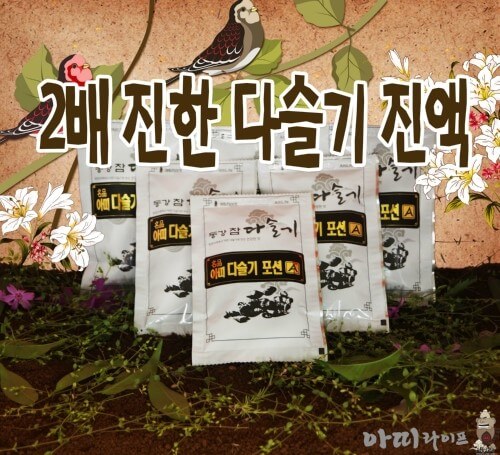 생방송투데이 이 주의 장바구니 맑은 강의 보물 영월 다슬기 주문방법 아띠라이프 생방송투데이 3781회