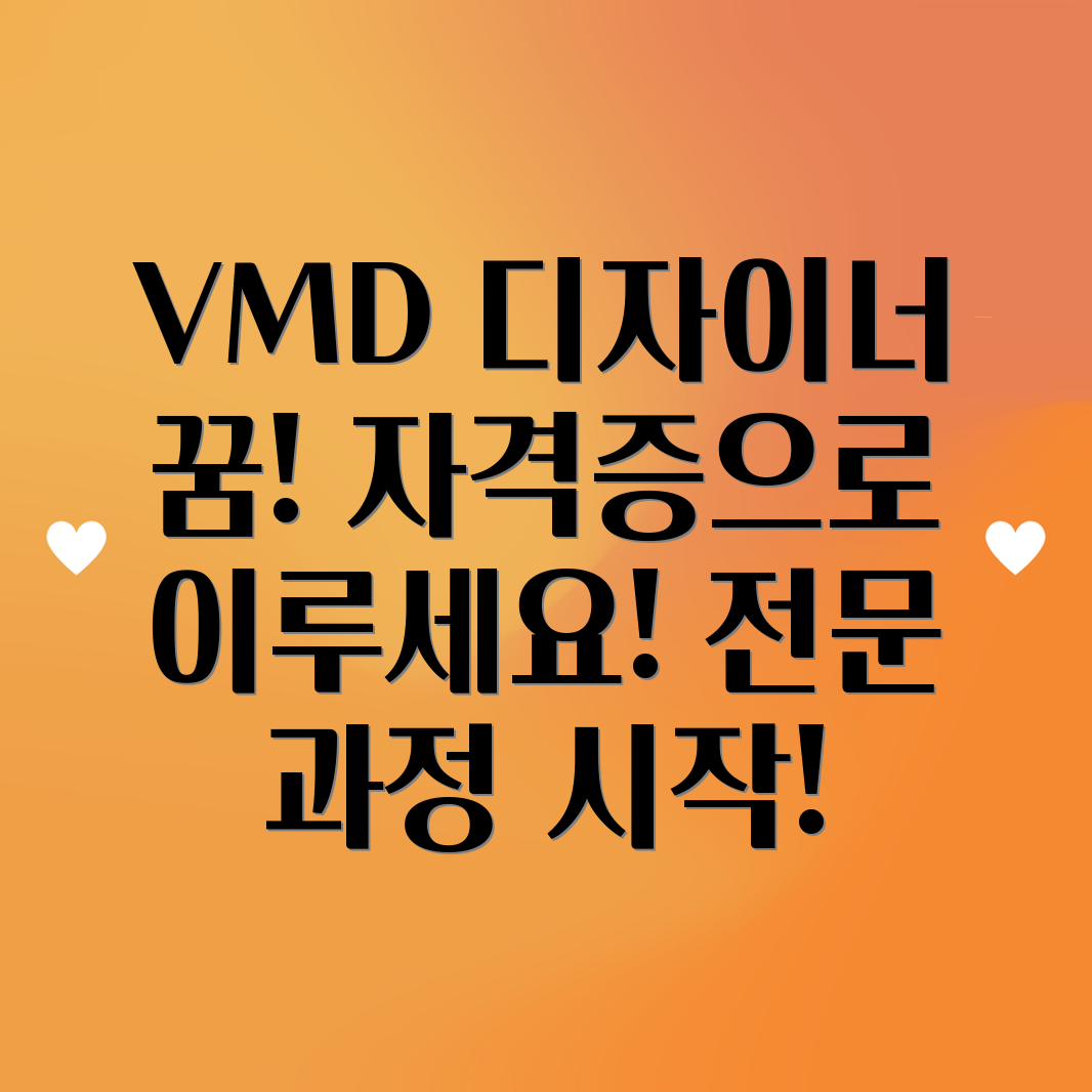 VMD 자격증 전문 과정