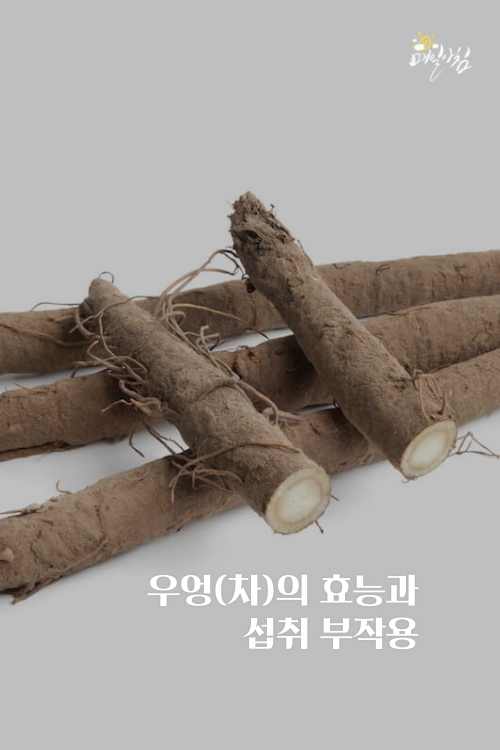  [매일아침좋은글] 우엉(차)의 효능과 섭취 부작용은?