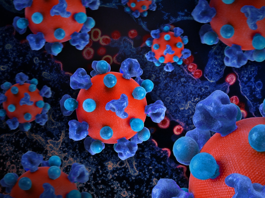  HIV 바이러스, 증상 및 감염, 백신, 예방법 한방에 정리