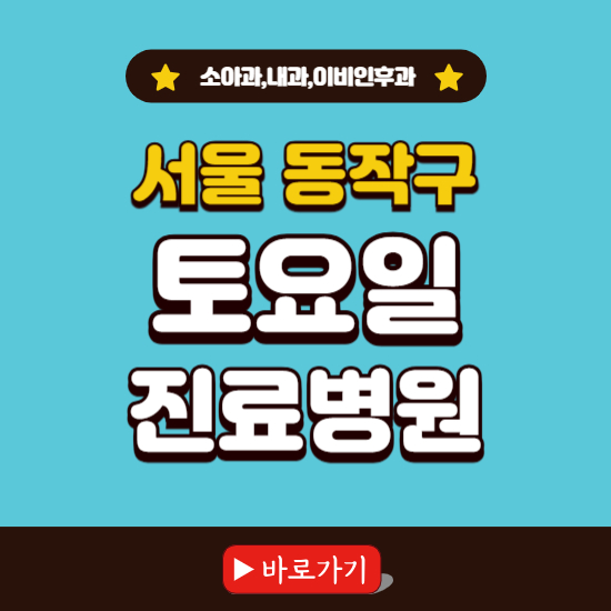 서울 동작구 토요일 진료 병원 찾기 ❘ 주말 문여는 소아과, 내과, 이비인후과 리스트