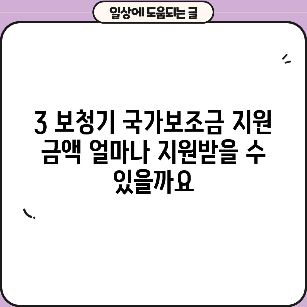 3. 보청기 국가보조금 지원 금액: 얼마나 지원받을 수 있을까요?