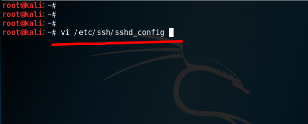  KaliLinux [PuTTY 연결하기 / ssh 연결]
