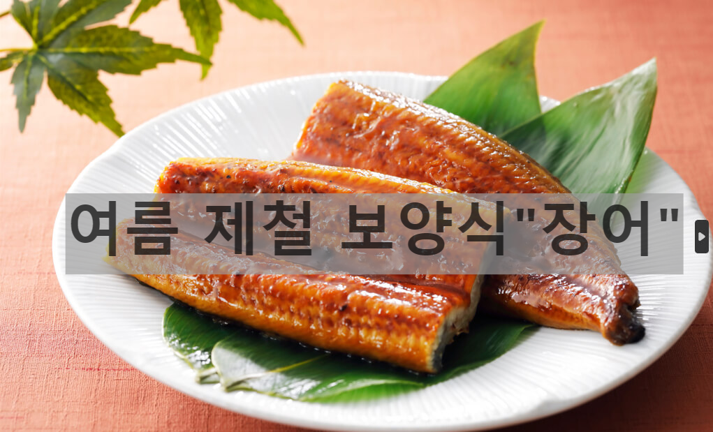  장어 효능, 장어철 - 굽는법 및 장어탕 끓이는법