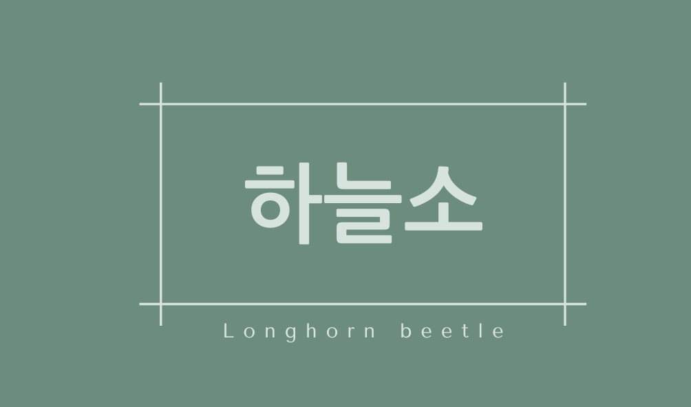 하늘소(Longhorn beetle)