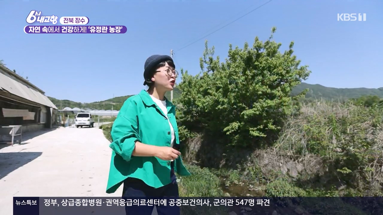 6시 내고향.E8057.240525p-NEXT.mp4_20240525_162202.703.jpg