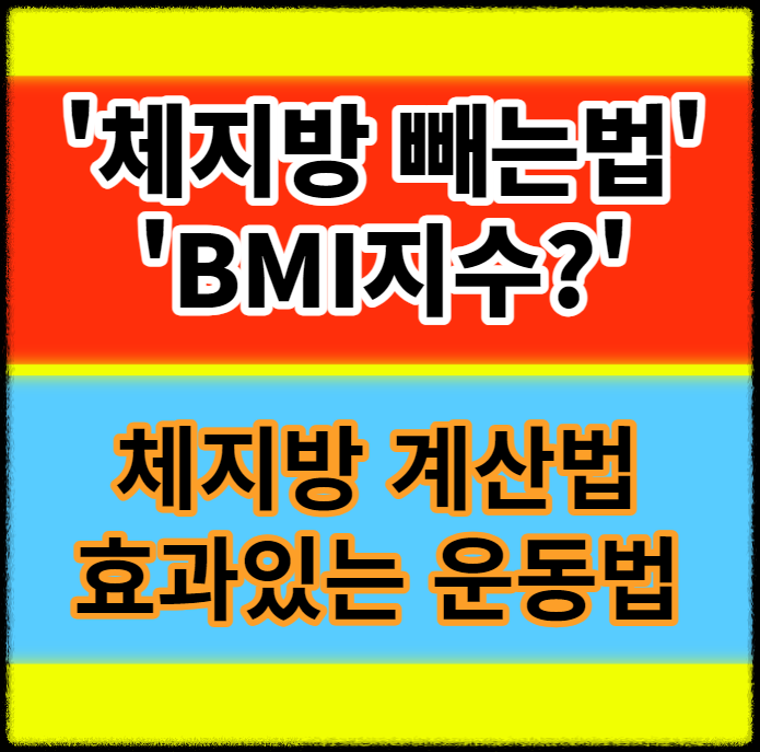 체지방 빼는법 + BMI지수