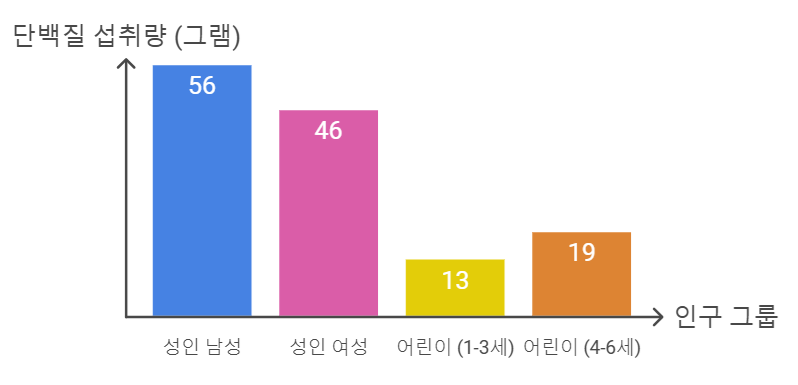 WHO 권장 일일 단백질 섭취량