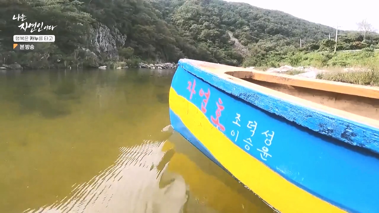 나는 자연인이다.E576.231019p-NEXT.mp4_20231019_201238.890.jpg