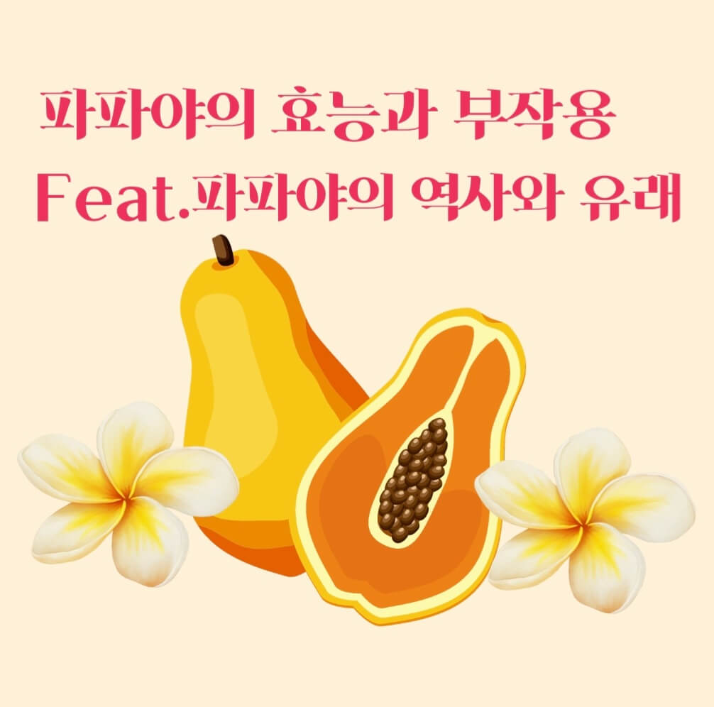  열대과일시리즈4.파파야의 효능과 부작용?