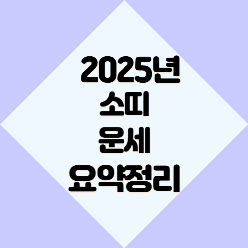 2025년 소띠 운세 요약정리