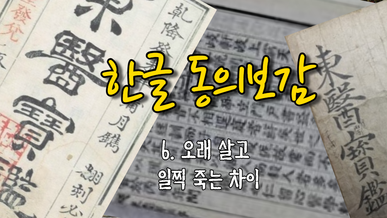  6. 오래 살고 일찍 죽는 차이 ( 내경편 신형 )