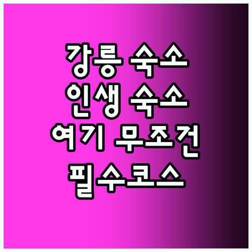 강릉 여행 필수! 인생 숙소 발견!