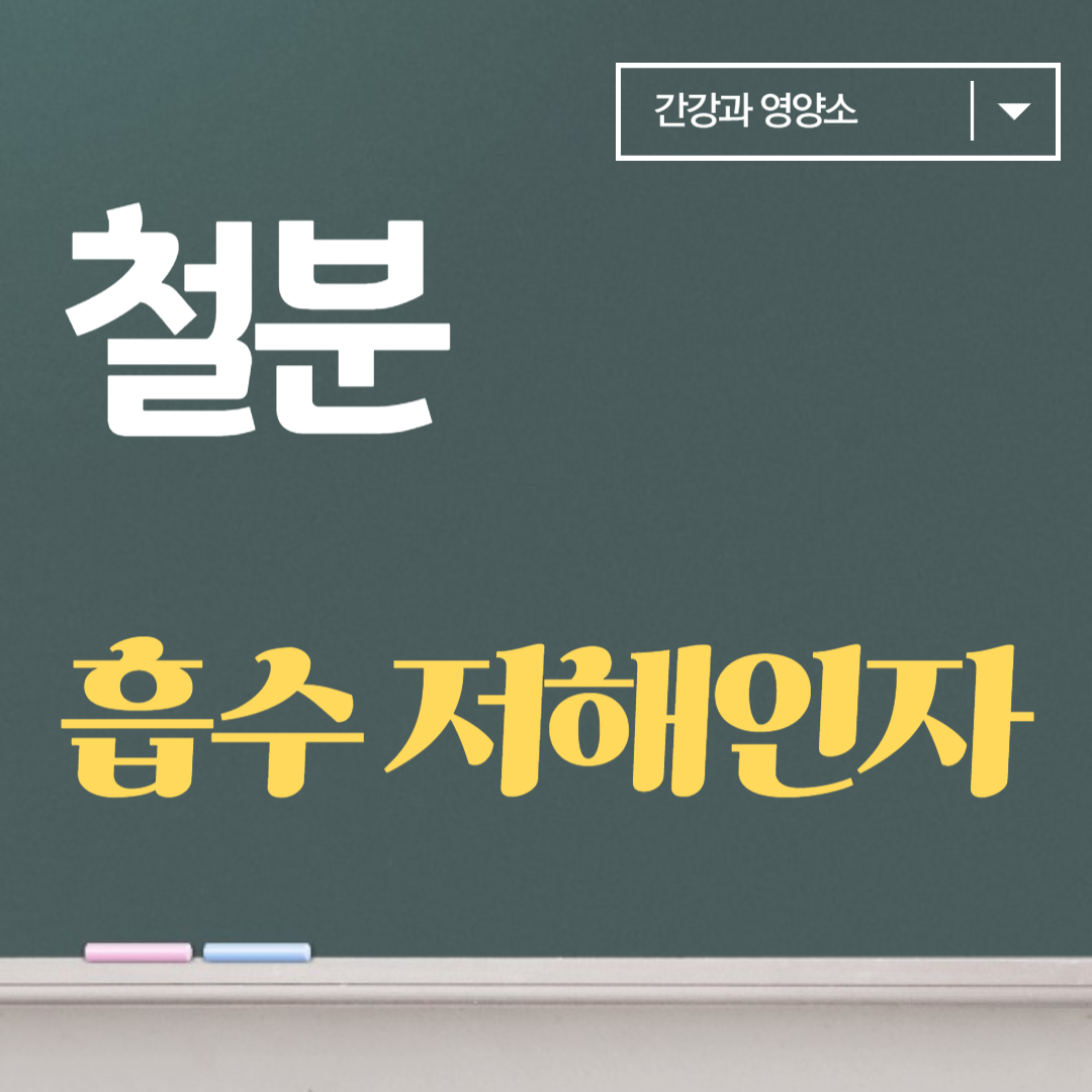 철분(Fe)-대사-철분-흡수-저해인자