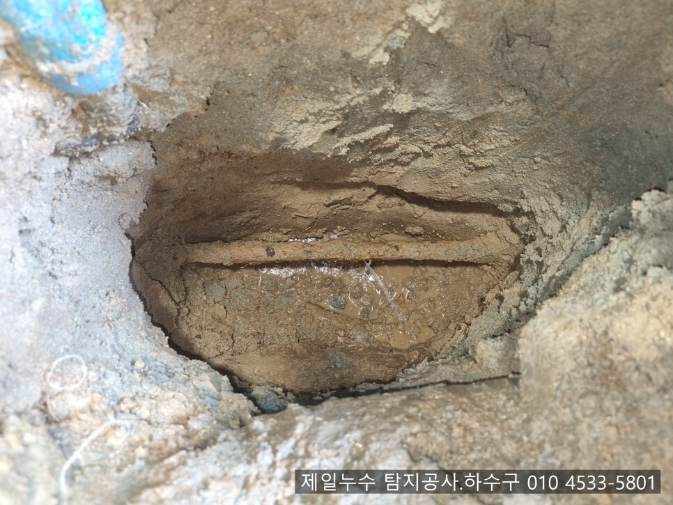  왜관누수 제일누수 탐지공사.하수구 칠곡군 왜관읍 왜관리 1층 단독주택 누수현장